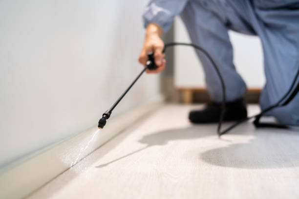 Licensed Cockroach Control service in La Plata, MD - Nex Pest Control