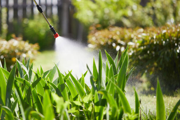 24/7 Emergency Cockroach Control experts in La Plata, MD