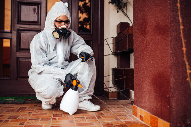 Reliable Cockroach Control contractor in La Plata, MD by Nex Pest Control